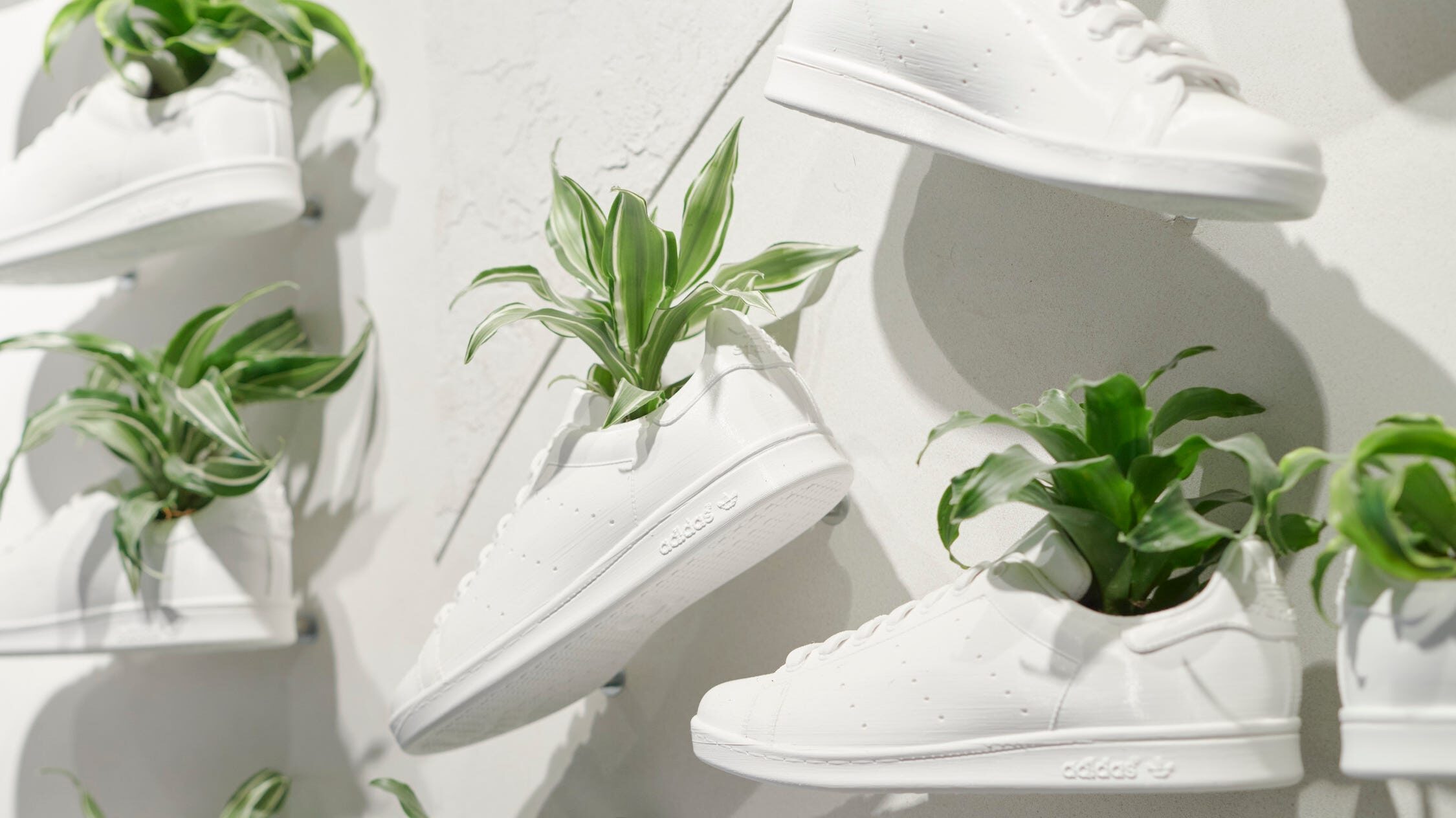 Your Next Pair of Sneakers Could Be Made Out of Plants | twib.news