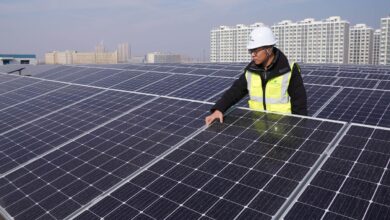 A Chinese worker inspects rows of solar panels at a photovoltaic power station on the rooftop of a plant building in Zouping, Binzhou City, east China