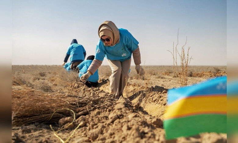 Tree planting in dried out Aral sea in Uzbekistan