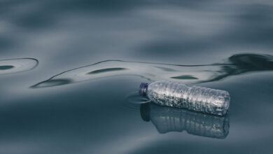 Plastic water bottle floating on water surface