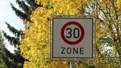 Sign, 30km/h tempo limit zone, autumn, city district of Mittelberg, Stadt Biberach, Upper Swabia, Baden-Wuerttemberg, Germany, Europe