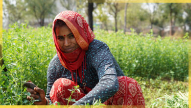 South Asian woman in a field