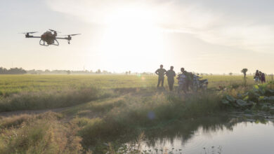 drones used in rice farms in Vietnam